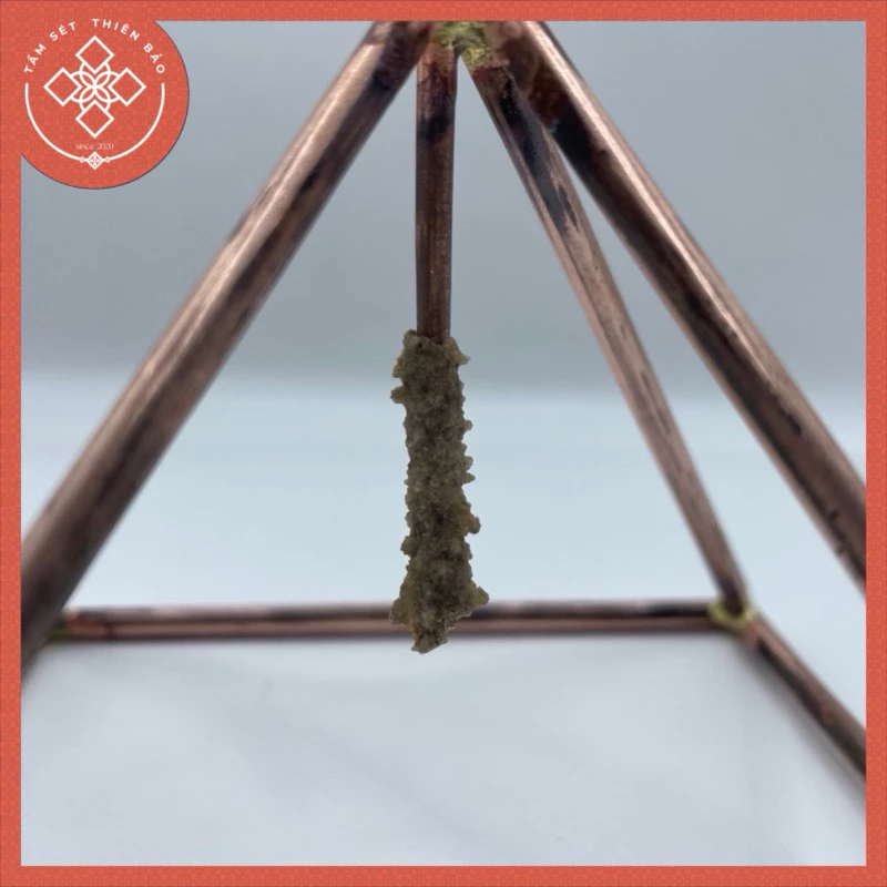 vn-11134207-7ras8-m5580pl13cw321