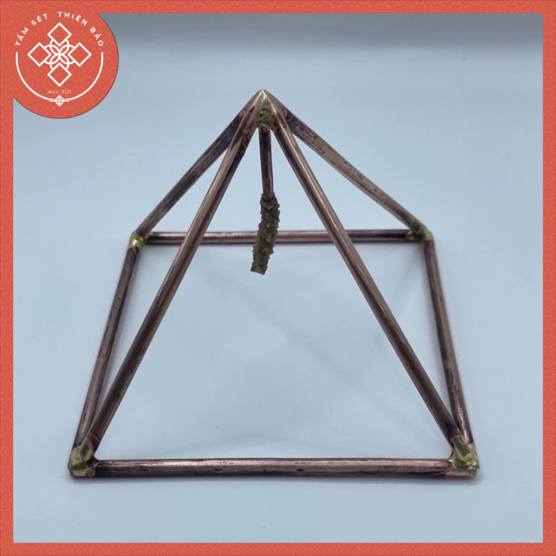 vn-11134207-7ras8-m5580pl166k8d4